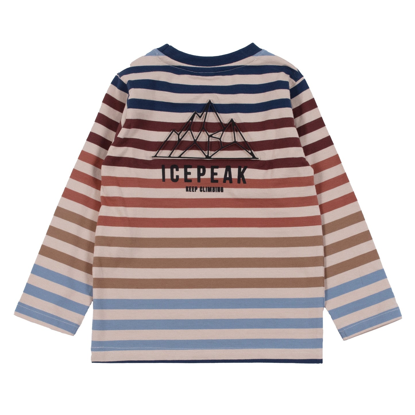 Boys' Beige Long Sleeve T-Shirt