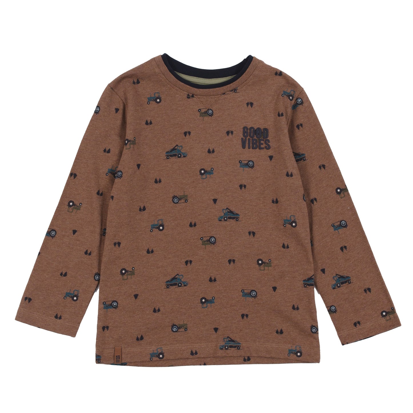 Boys' Brown Long Sleeve T-Shirt