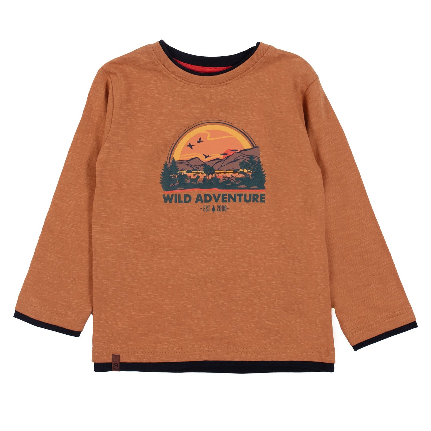 Boys' Brown Long Sleeve T-Shirt