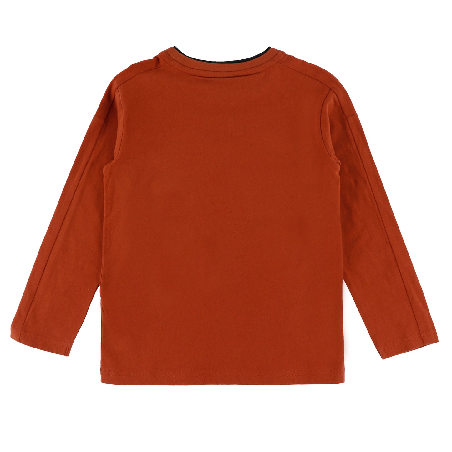 T-shirt à manches longues Garçons Brun