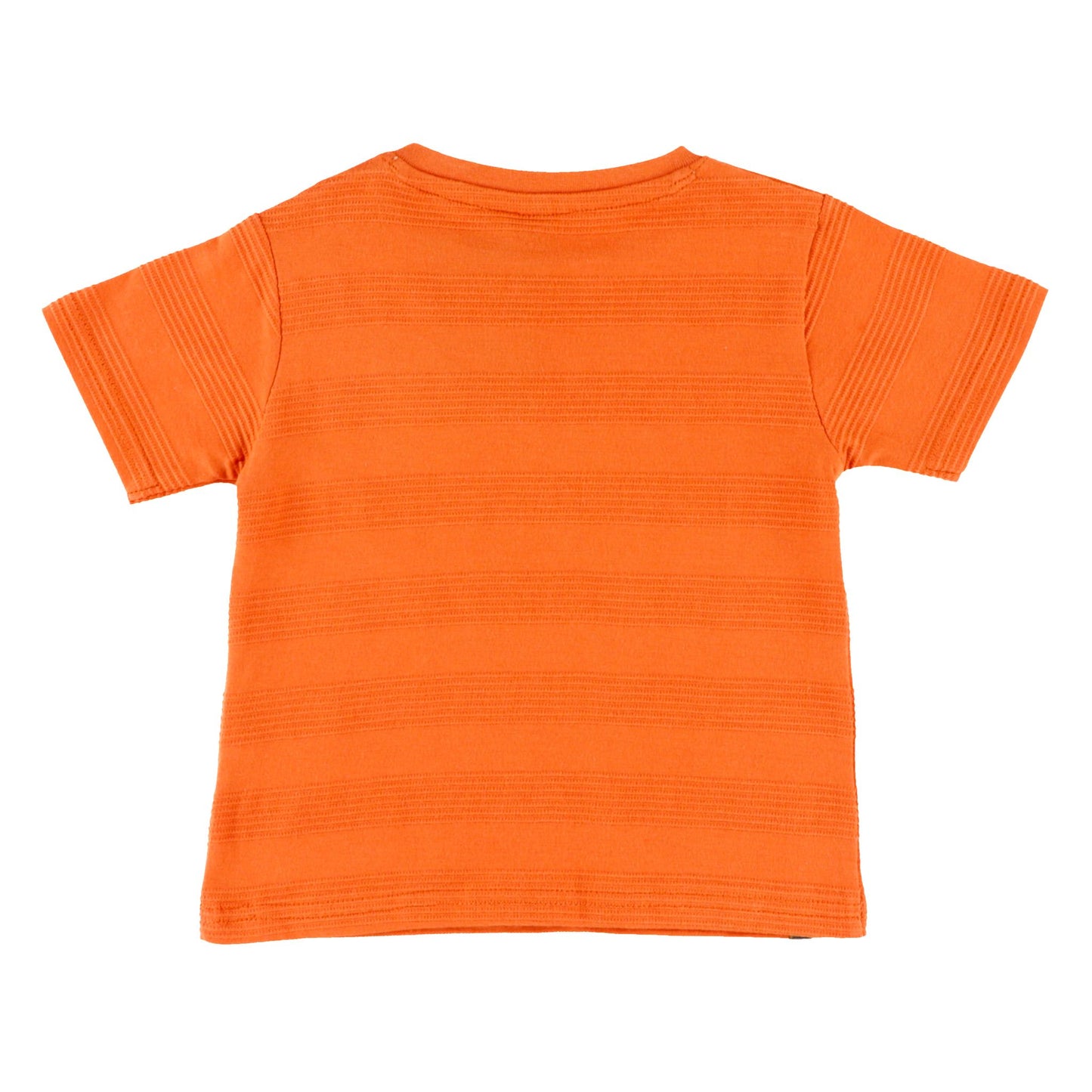 Orange Baby Boy T-shirt