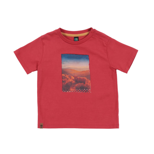 T-Shirt  Bébé Garcon Rouge