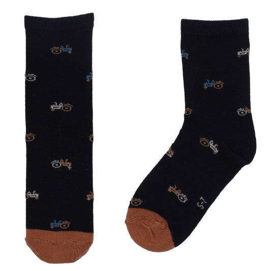 Chaussettes  Garçons Marine