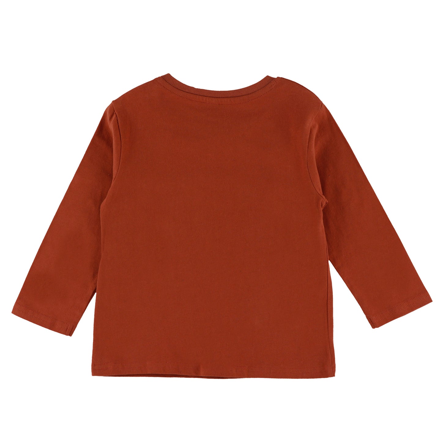 T-shirt  Bébé Garcon Brun