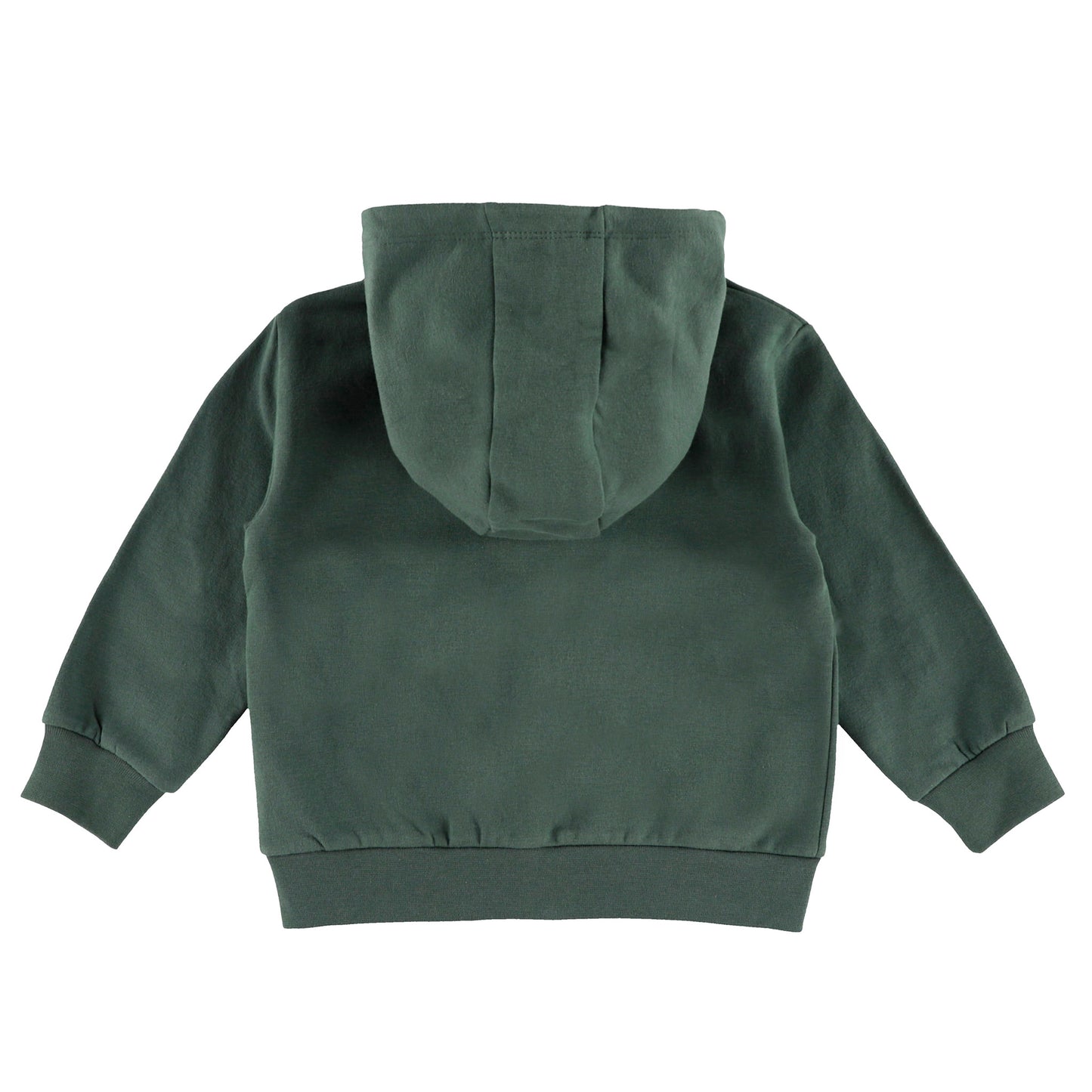 Veste à capuchon  Bébé Garcon Vert