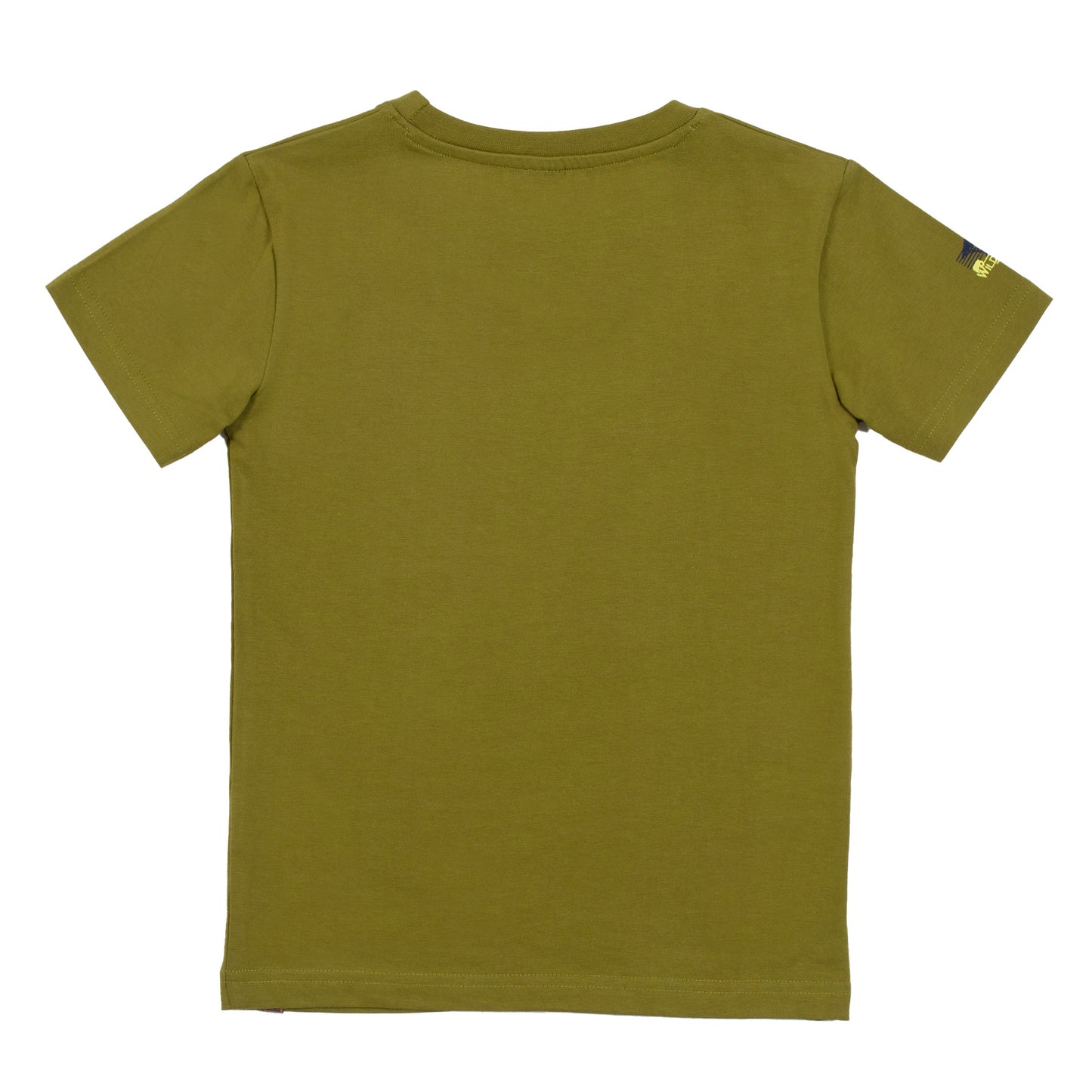 T-shirt  Garçons Vert