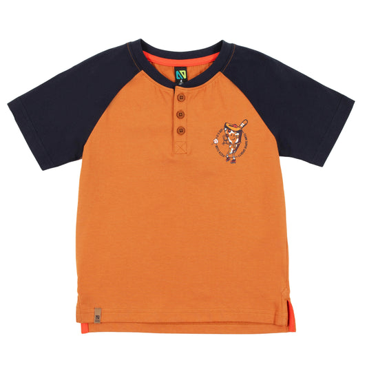 T-shirt  Garçons Brun