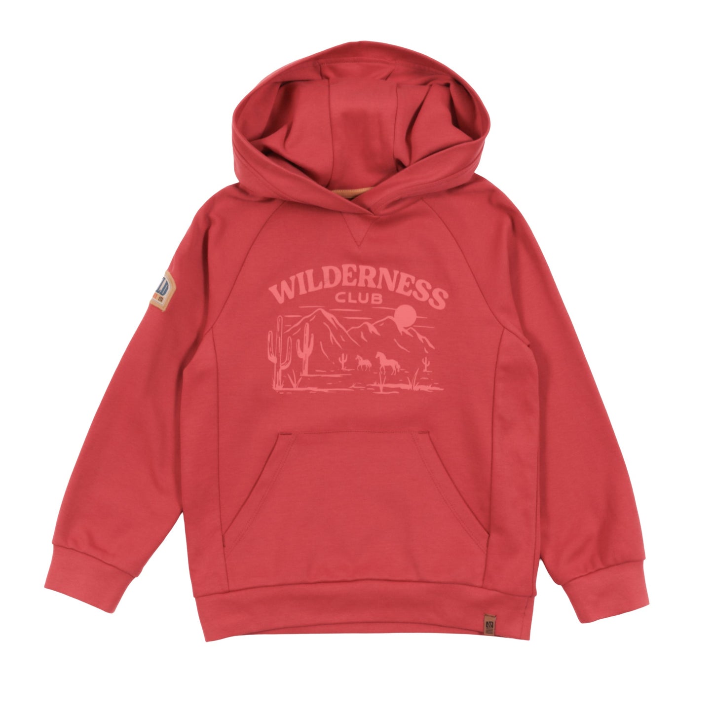 Chandail à capuchon  Garçons Rouge