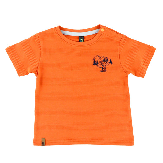 T-shirt  Bébé Garcon Orange